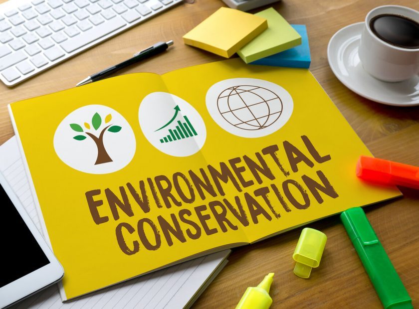 Environmental,Conservation,Life,Preservation,Protection,Growth,Project,About,Business,Growth